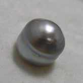 Echte Tahiti Perle Barock Ungebohrt 9.1ct 11.5x9.5mm